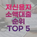 저신용자 소액대출