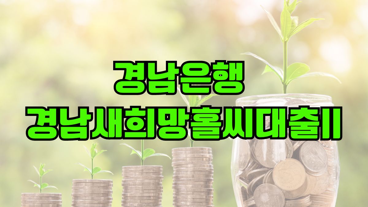 경남은행 경남새희망홀씨대출II