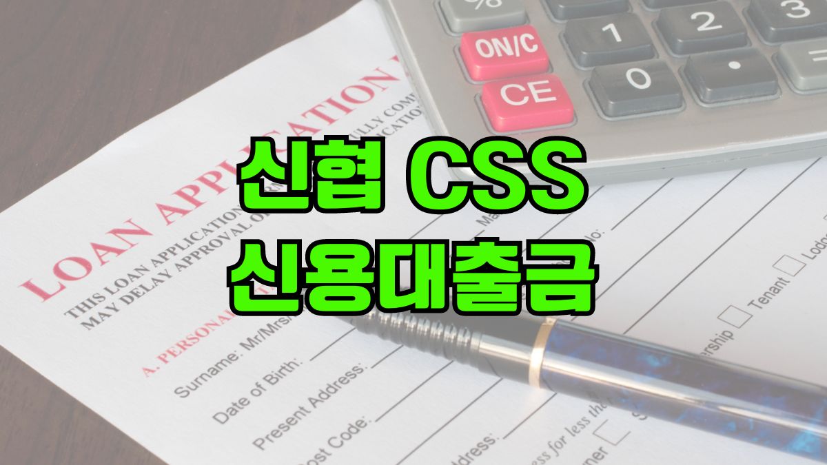 신협 CSS신용대출금