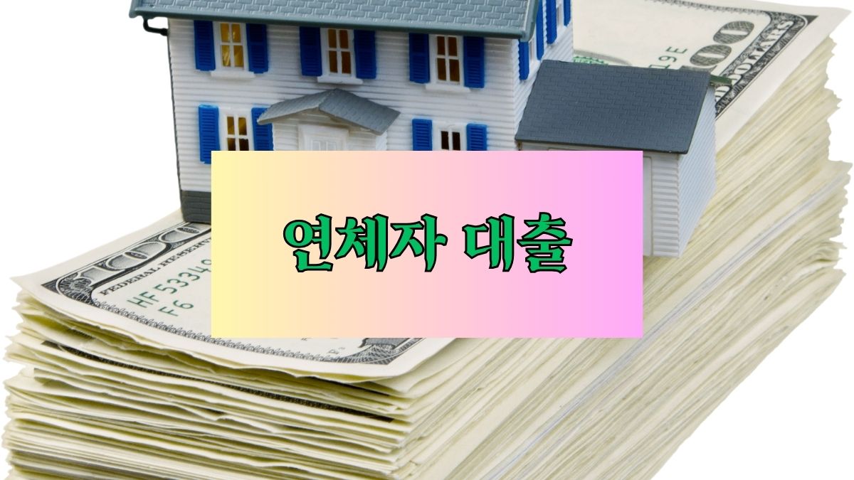 연체자 대출