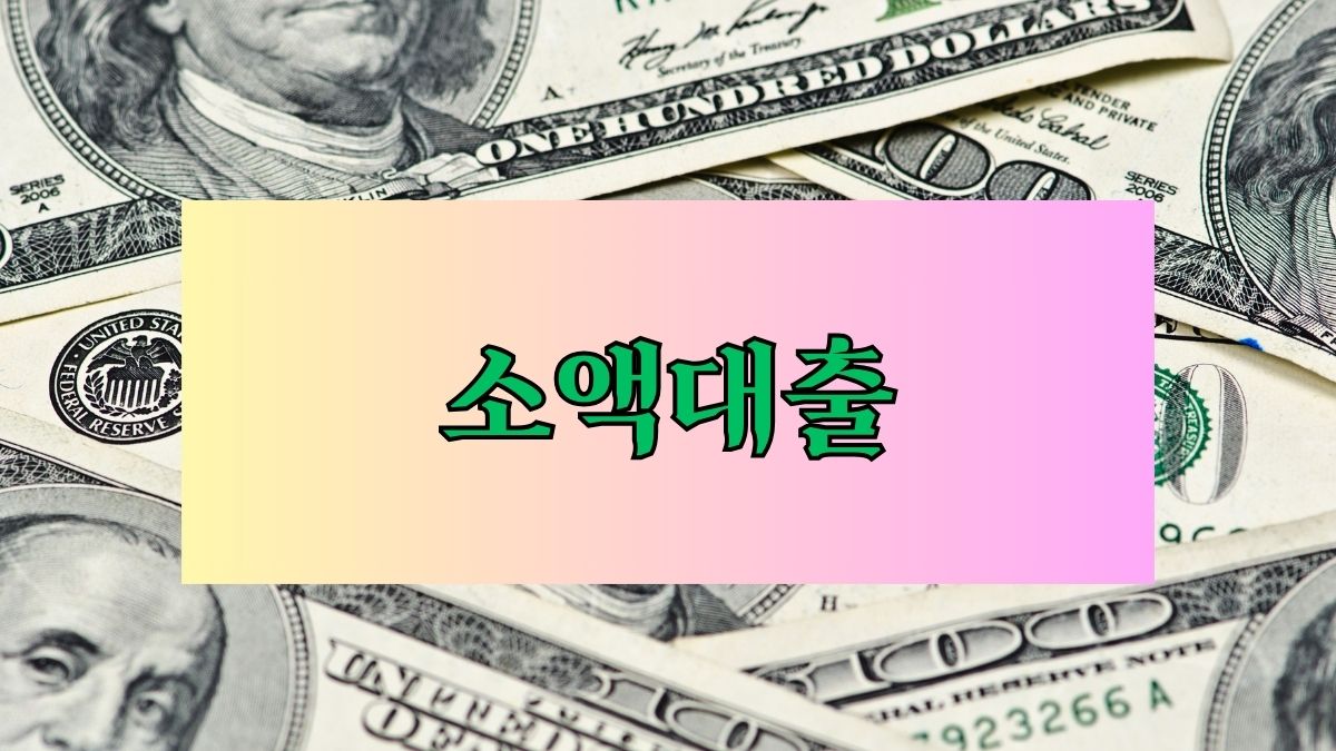 소액대출