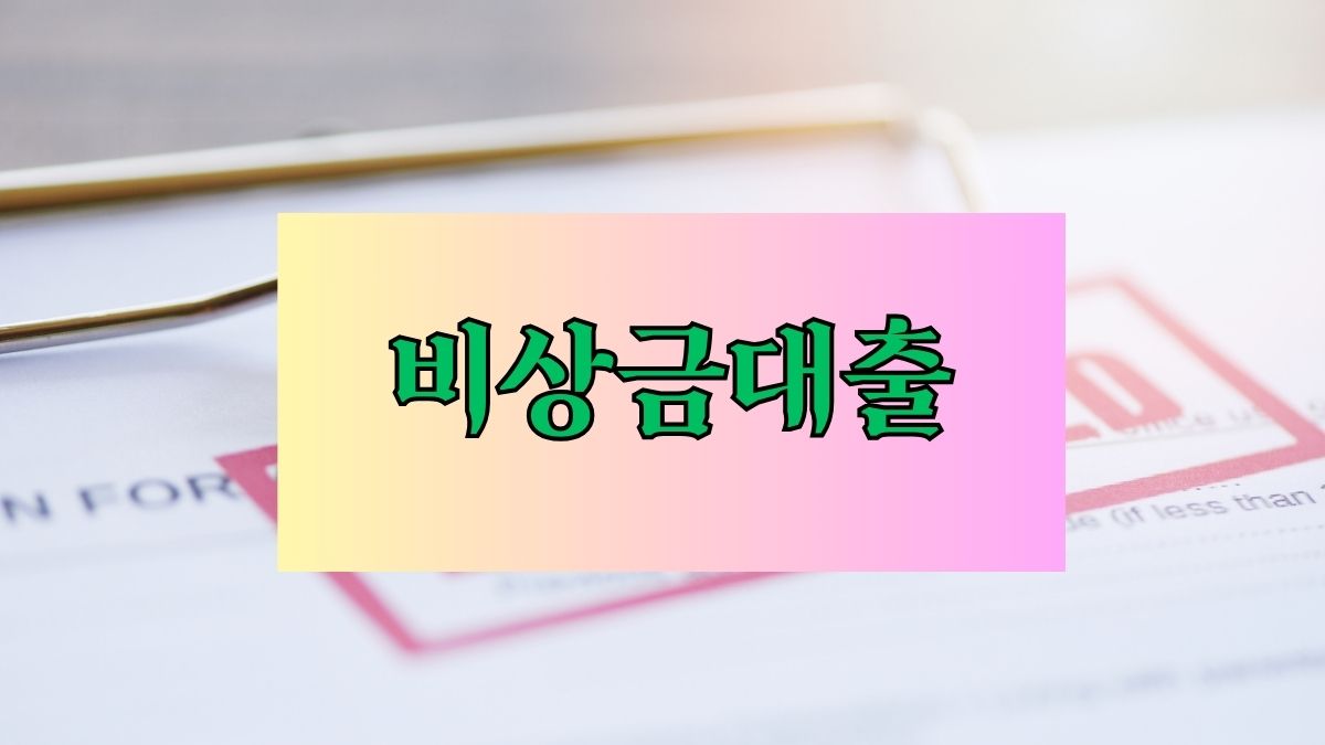 비상금대출