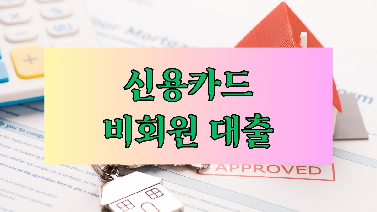 신용카드 비회원 대출