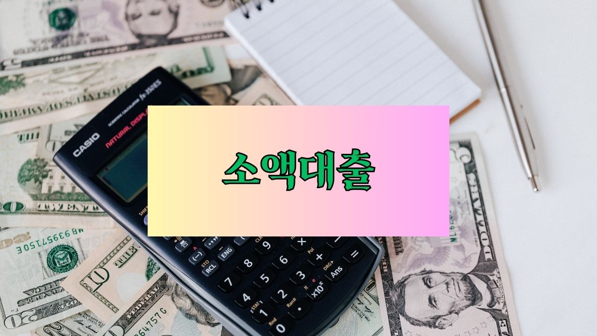 소액대출