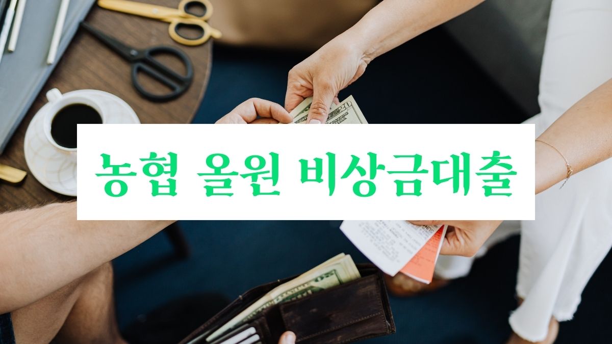 농협 올원 비상금대출