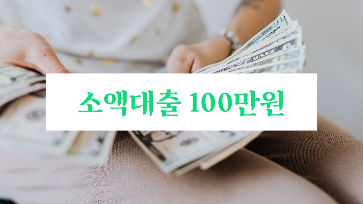 소액대출 100만원