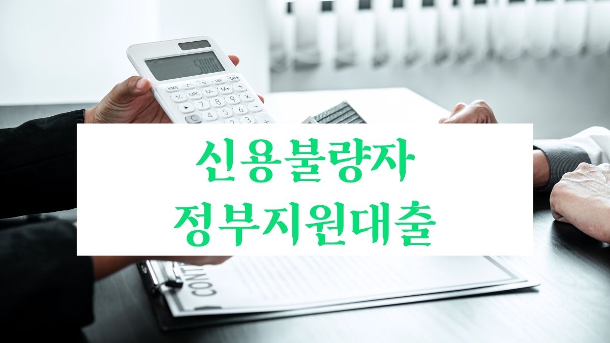 신용불량자 정부지원대출