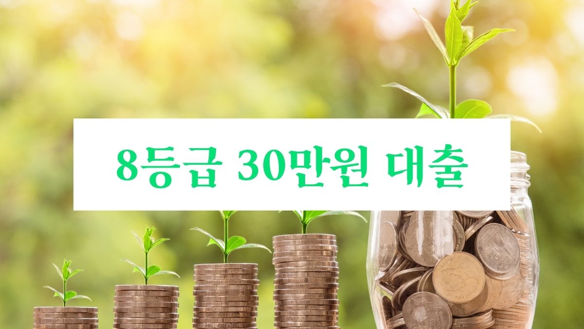 8등급 30만원 대출