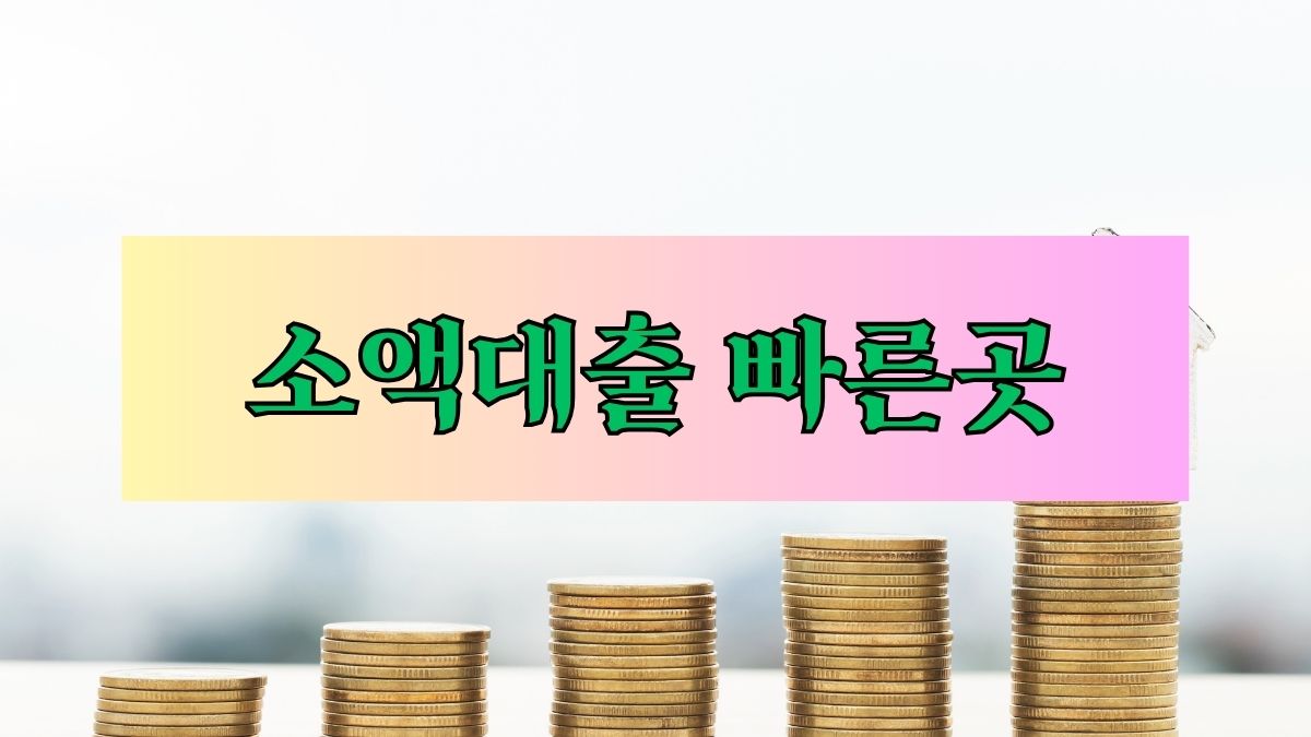 소액대출