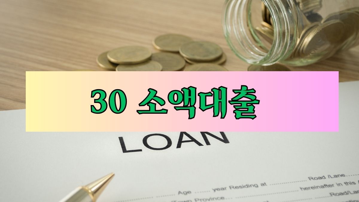 30 소액대출