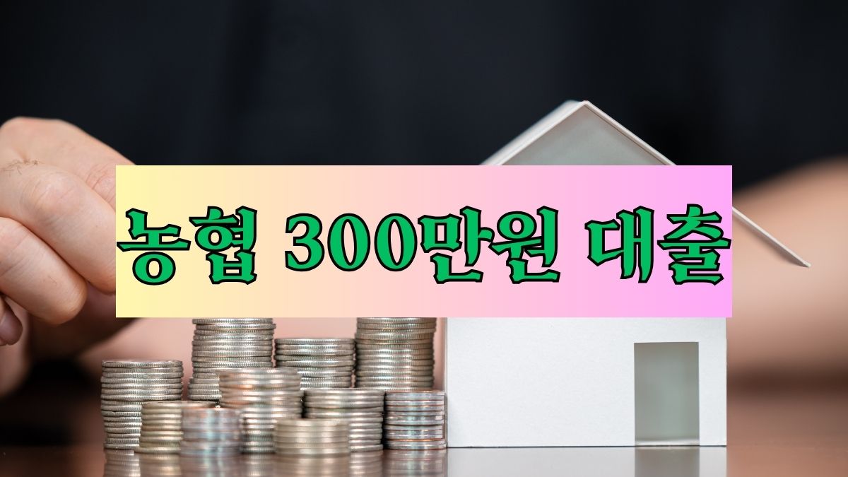 농협 300만원 대출