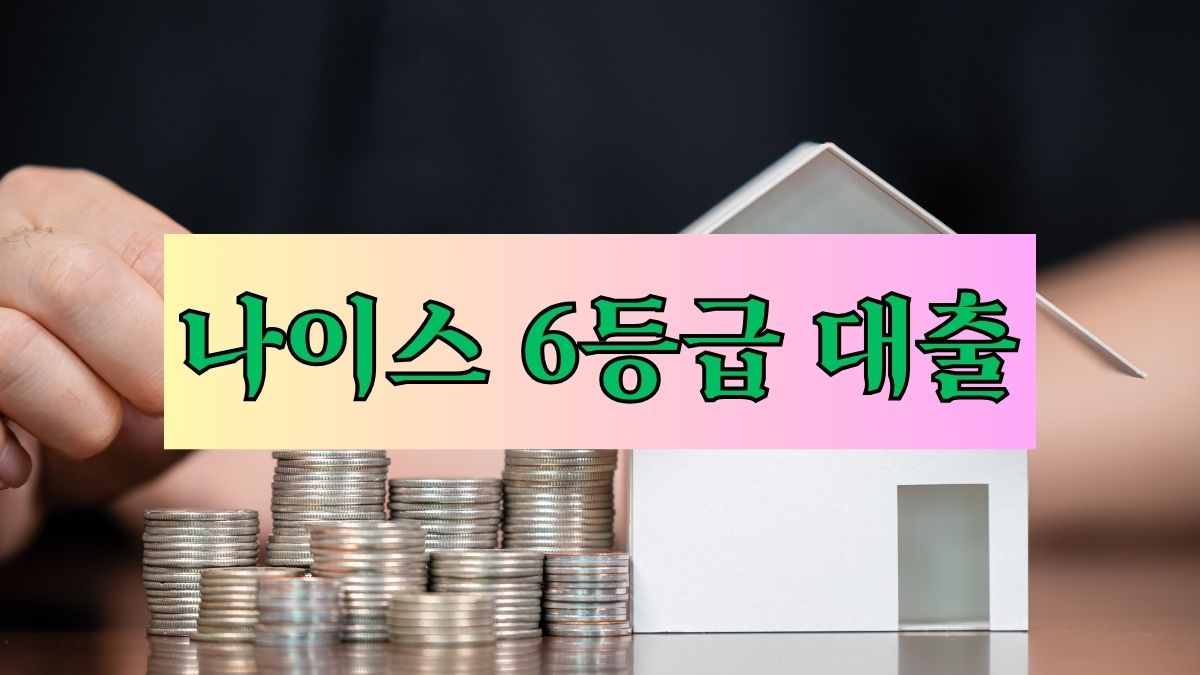 나이스 6등급 대출
