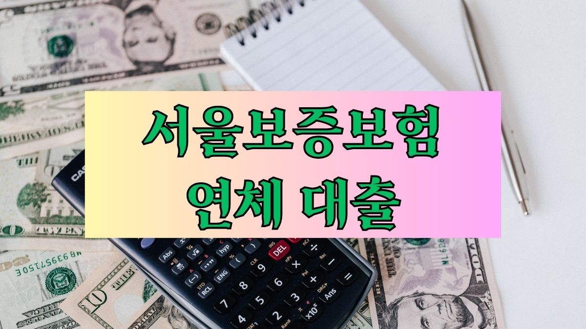 서울보증보험 연체 대출