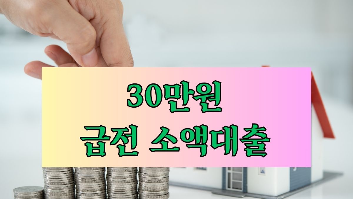 30만원 급전 소액대출