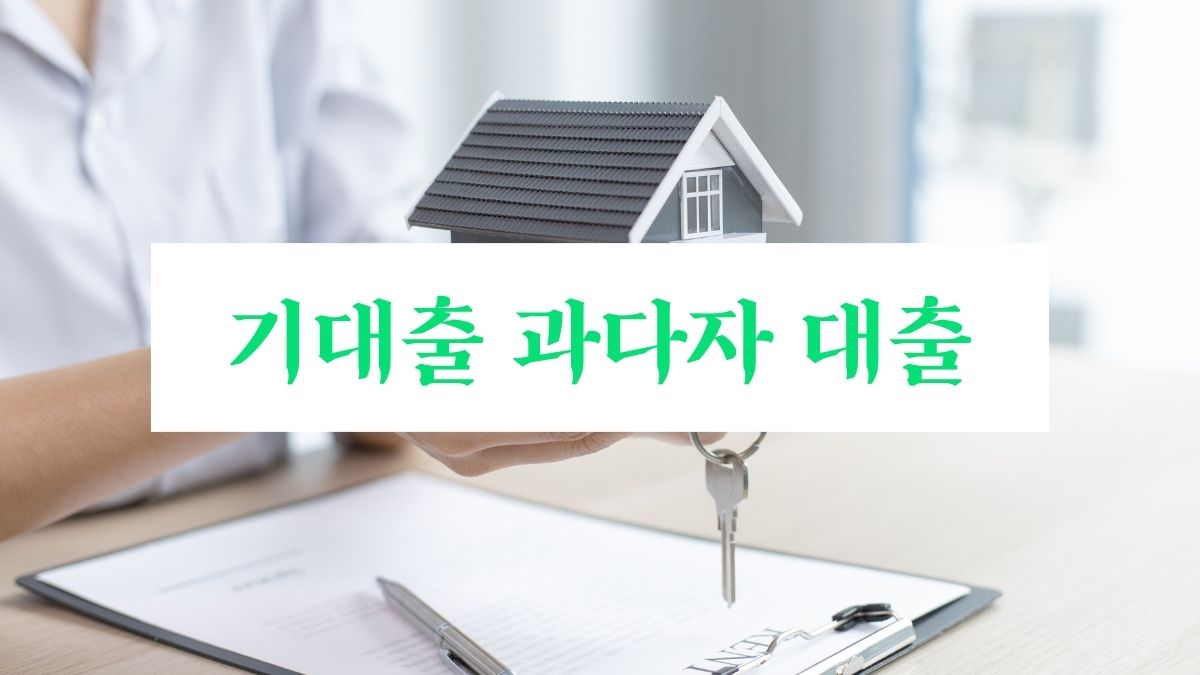 기대출 과다자 대출