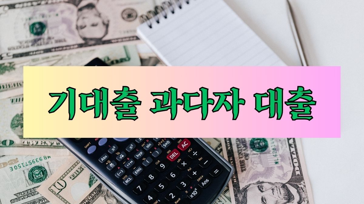 기대출 과다자 대출