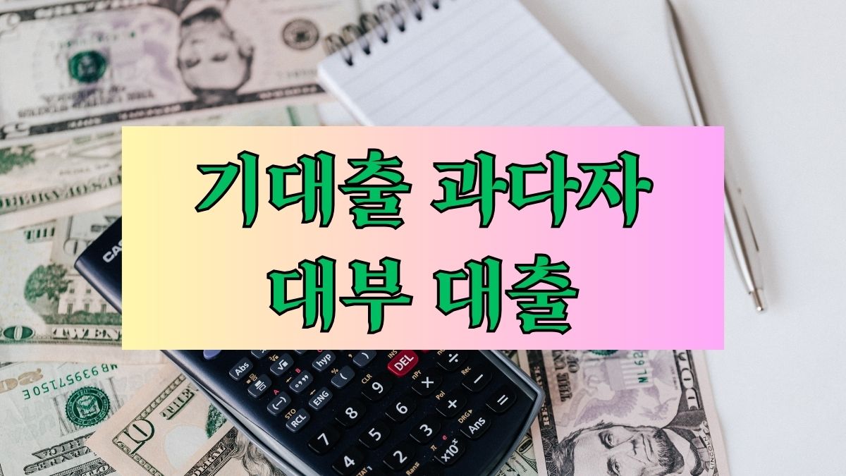 기대출 과다자 대부 대출