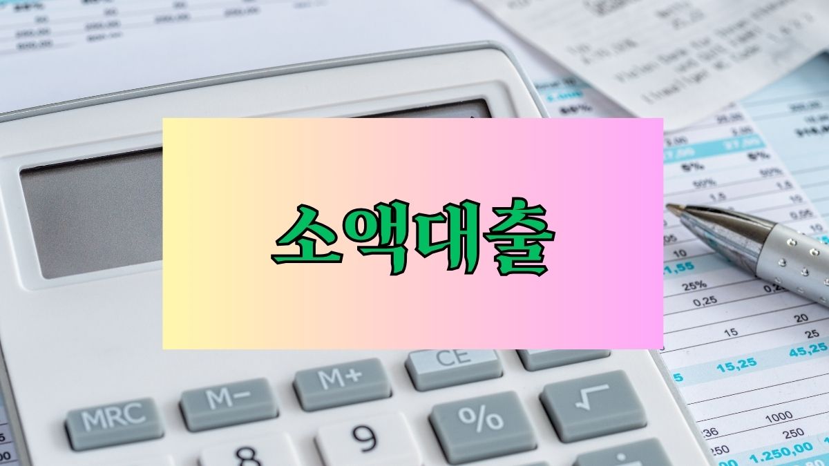 소액대출