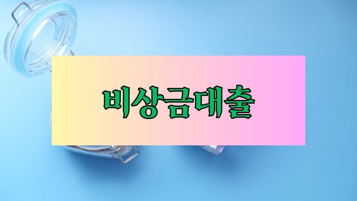 비상금대출