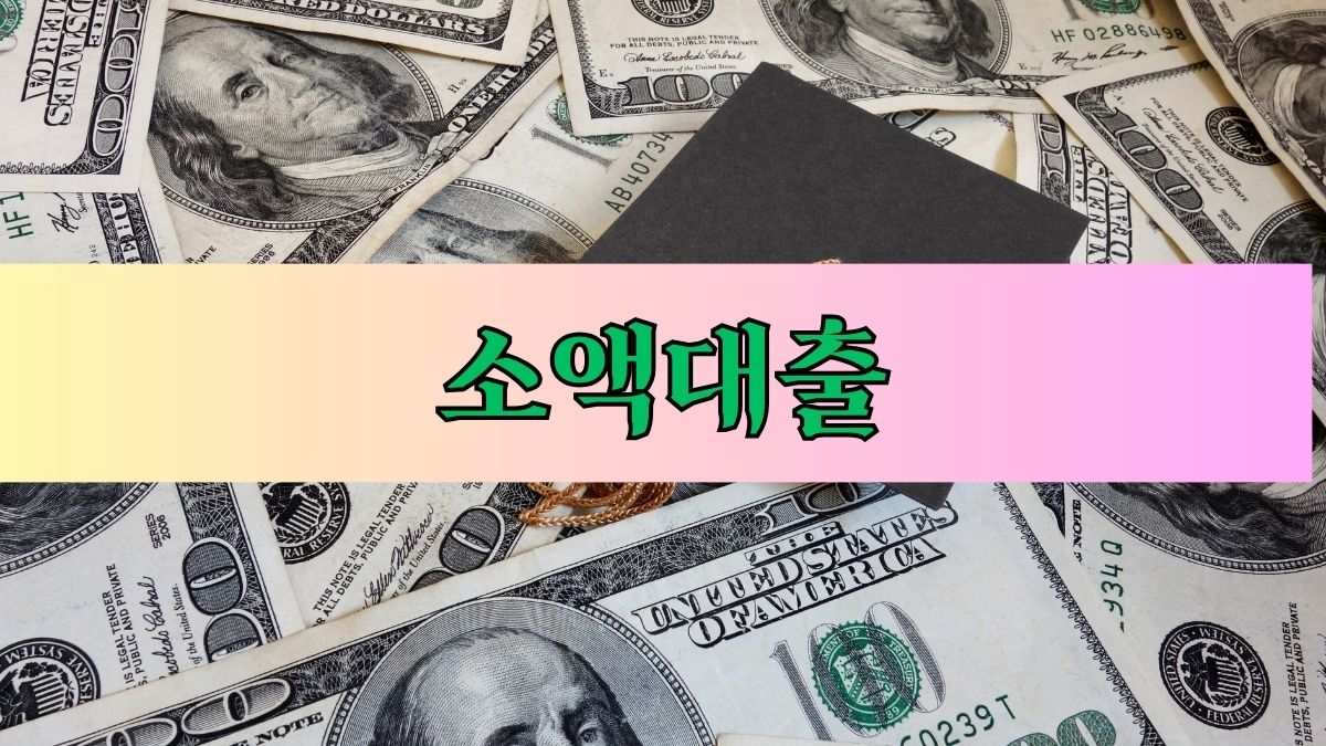 소액대출