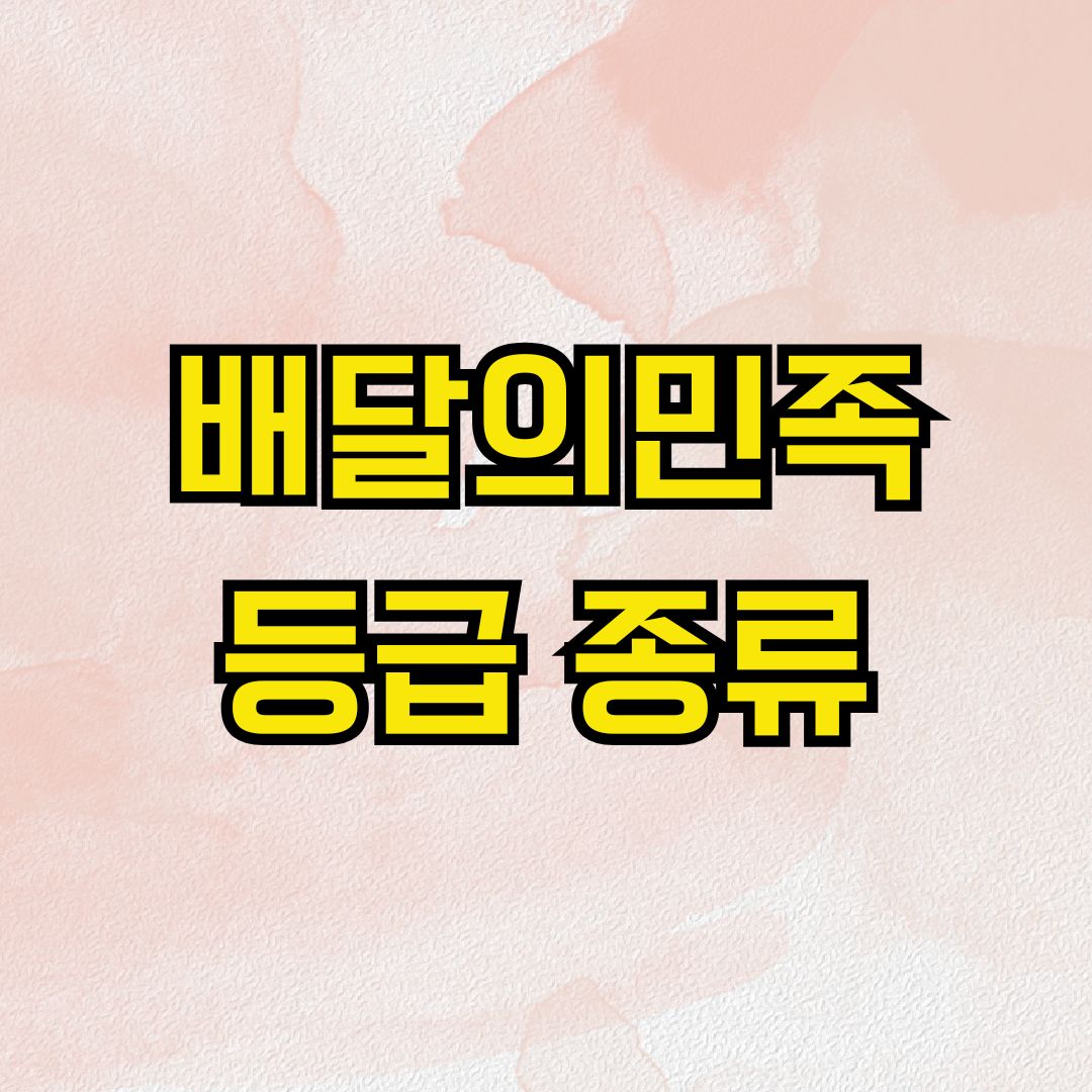 배달의민족 등급 종류