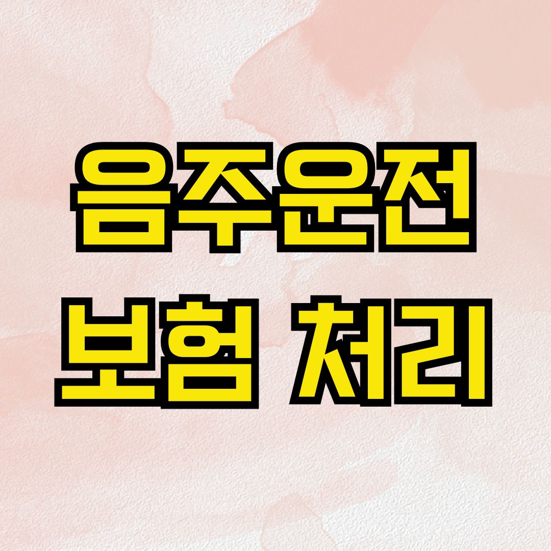 음주운전 보험 처리