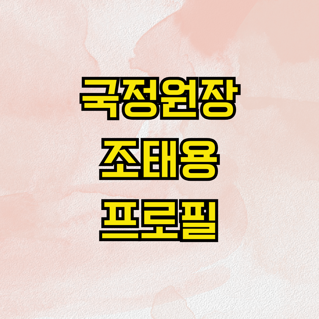 국정원장 조태용 프로필