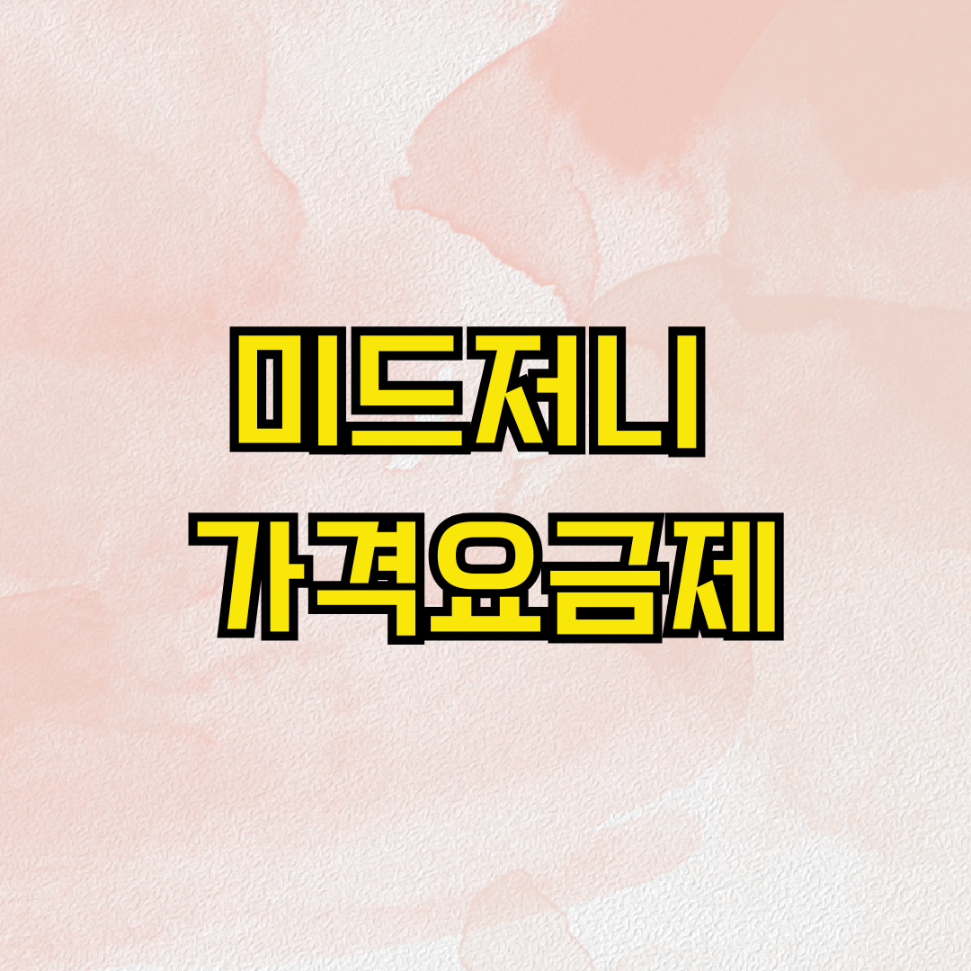 미드저니 가격