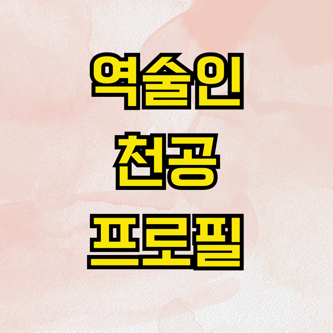역술인 천공 프로필