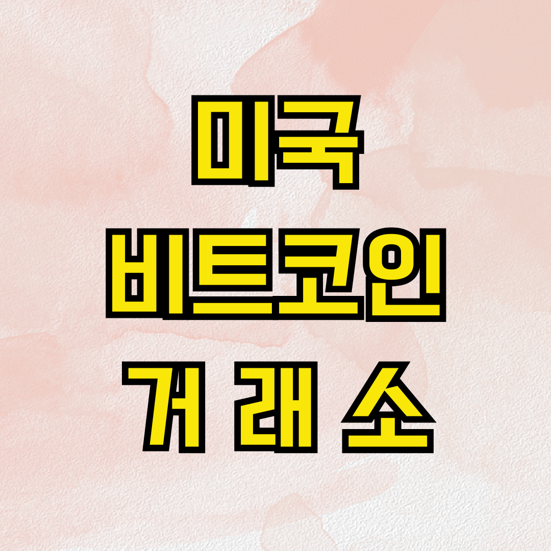미국 비트코인 거래소
