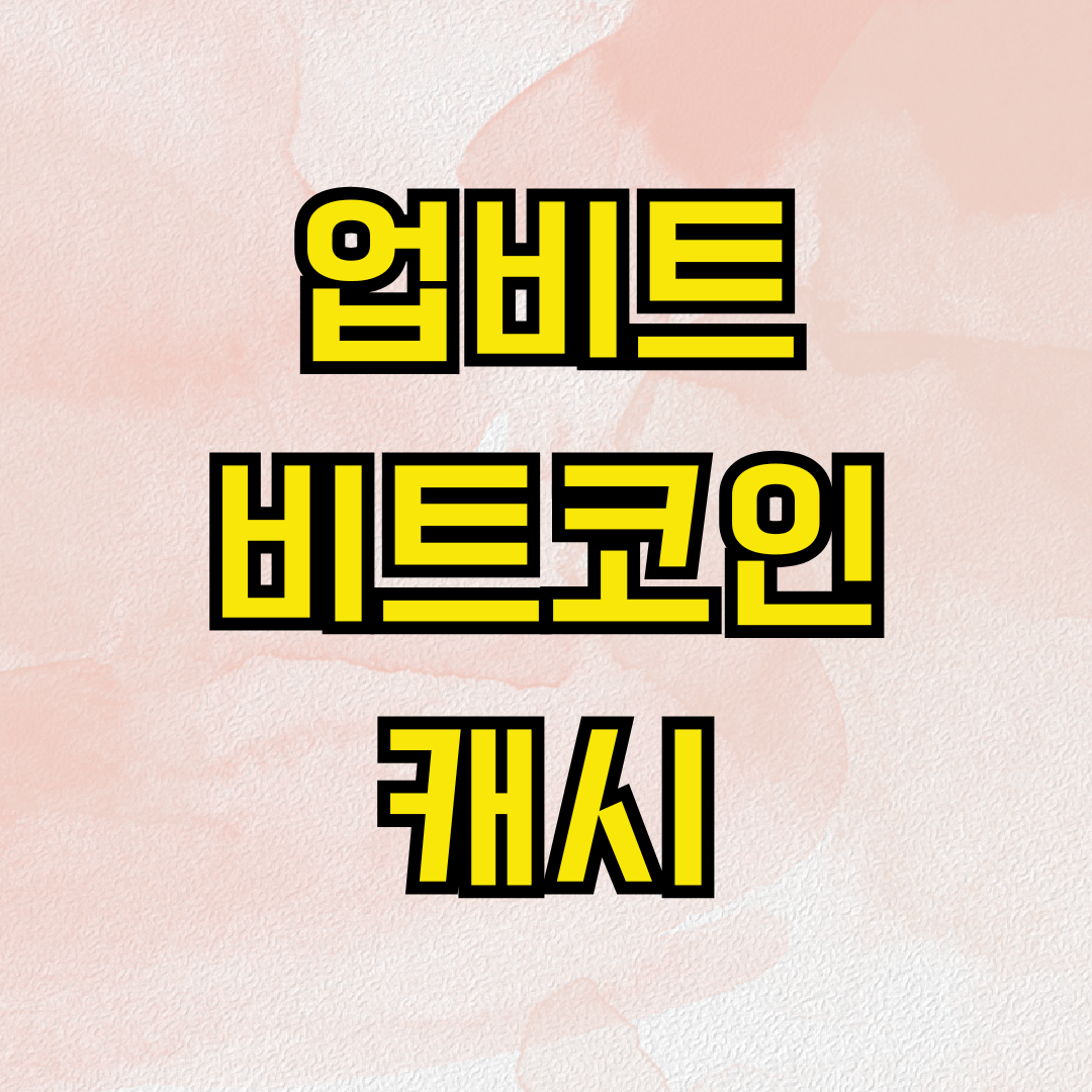 업비트 비트코인 캐시