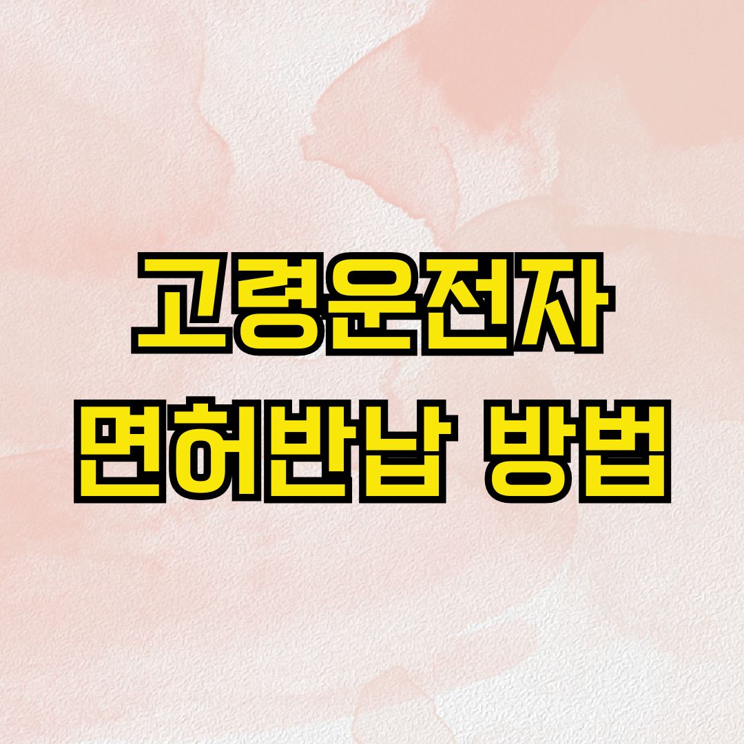 고령운전자 면허반납 방법