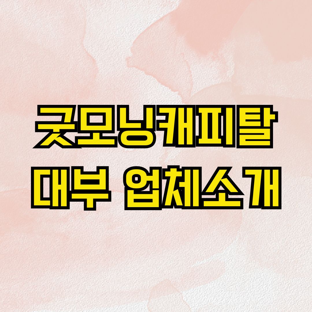 굿모닝캐피탈 대부 업체소개