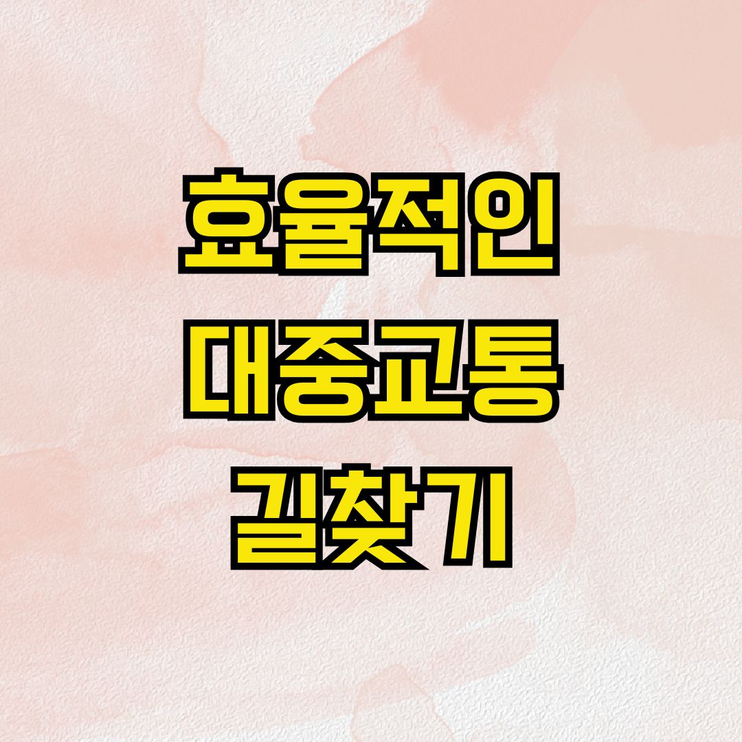 효율적인 대중교통 길찾기