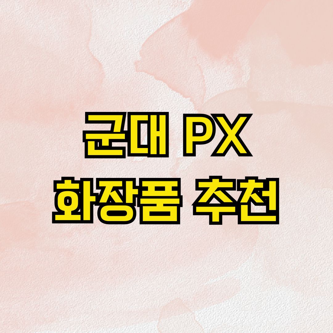 군대 PX 화장품 추천