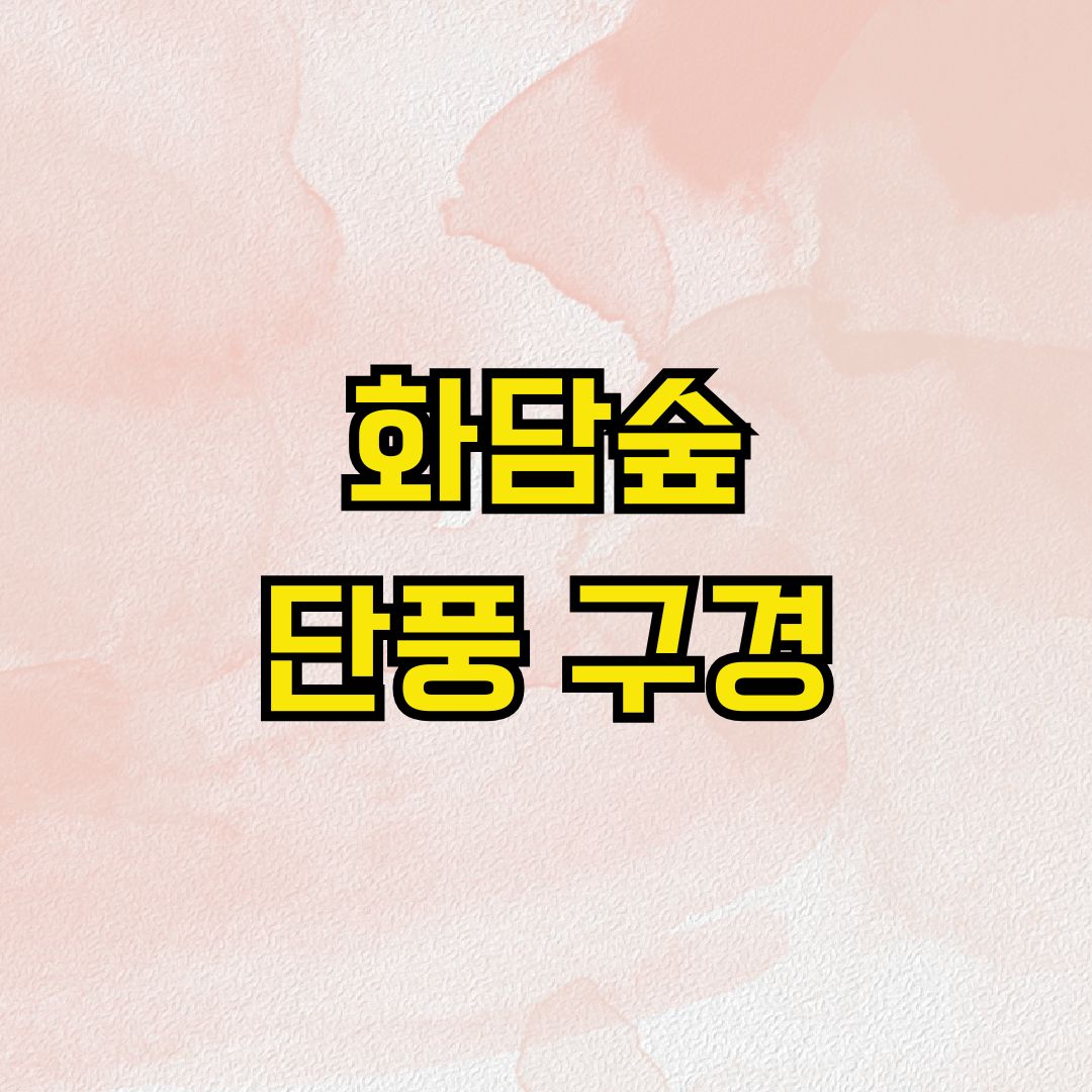 화담숲 단풍 구경