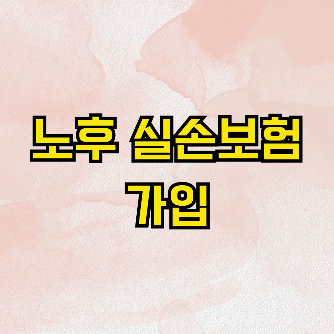 노후 실손보험 가입