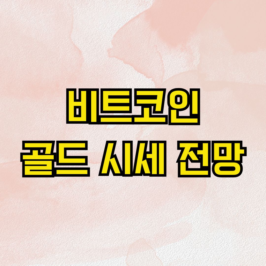 비트코인 골드 시세 전망
