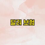 달러 보험