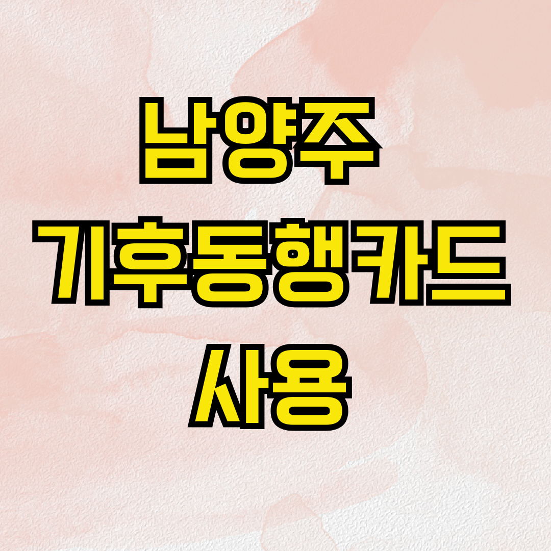 남양주 기후동행카드 사용