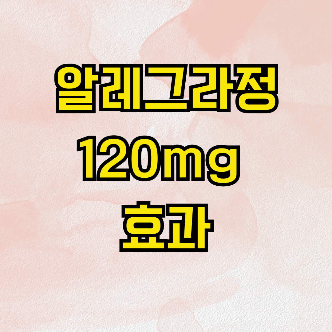 알레그라정 120mg 효과
