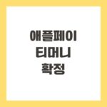 애플페이 티머니 확정