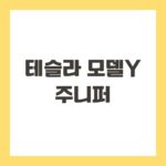 테슬라 모델Y 주니퍼