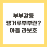 부부갈등 캥거루부부란