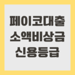 페이코대출 소액비상금 신용등급