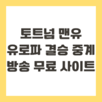 토트넘 맨유 유로파 결승 중계 방송