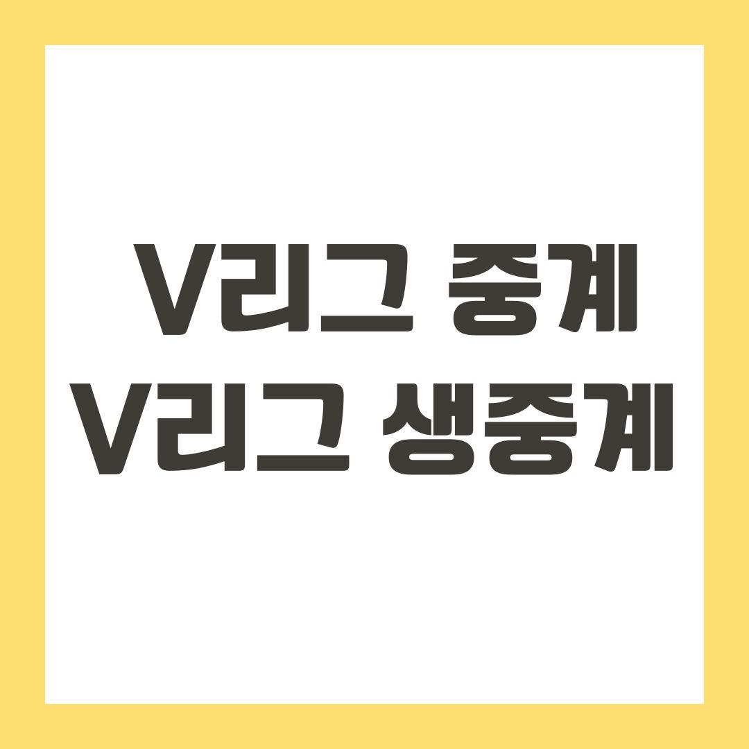 V리그 중계 V리그 생중계