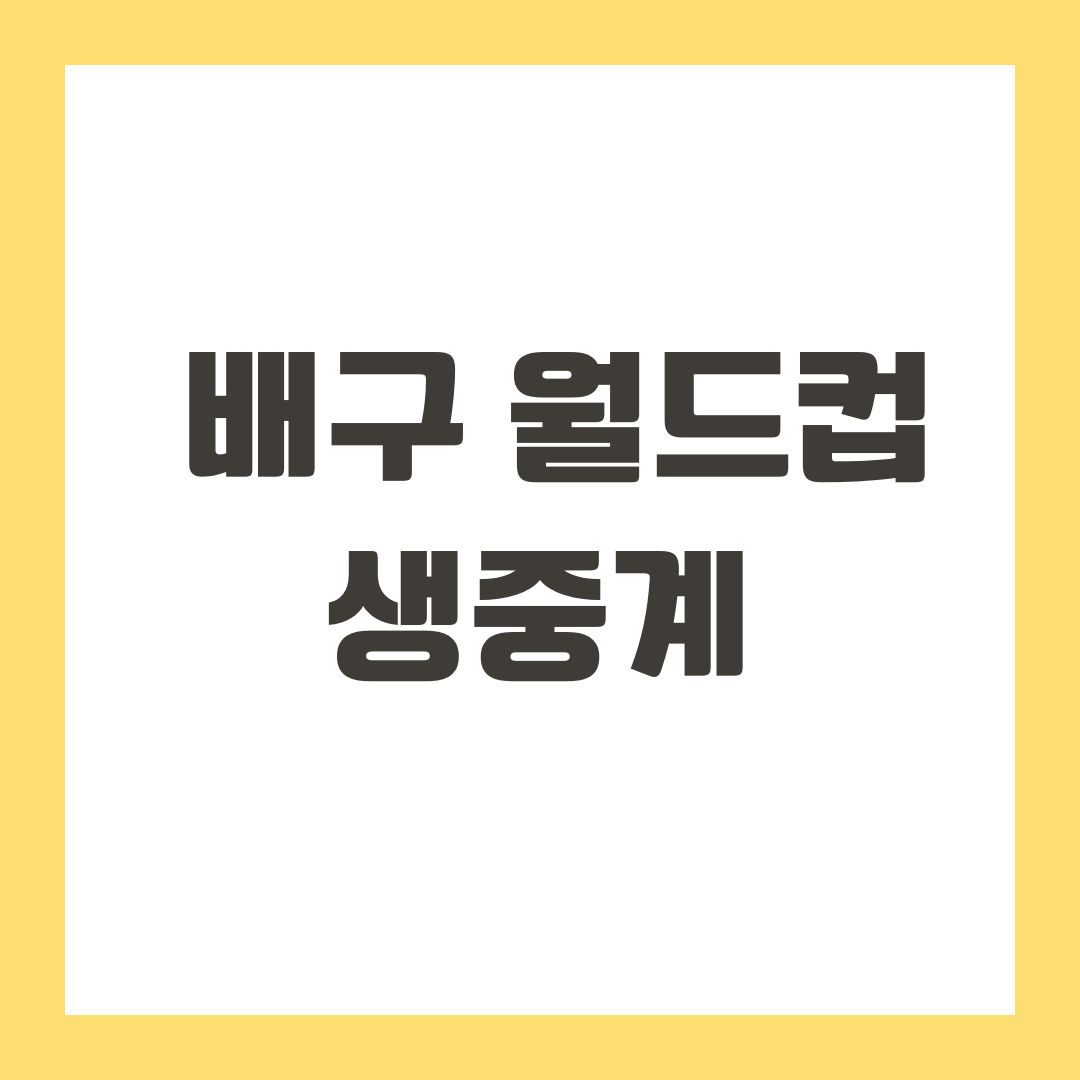 배구 월드컵 생중계