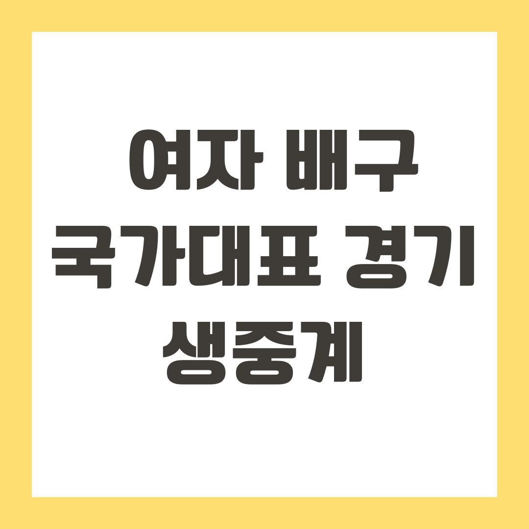 여자 배구 국가대표 경기 생중계