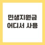 민생지원금 어디서 사용